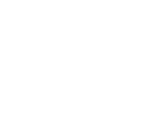 icon system ingetration